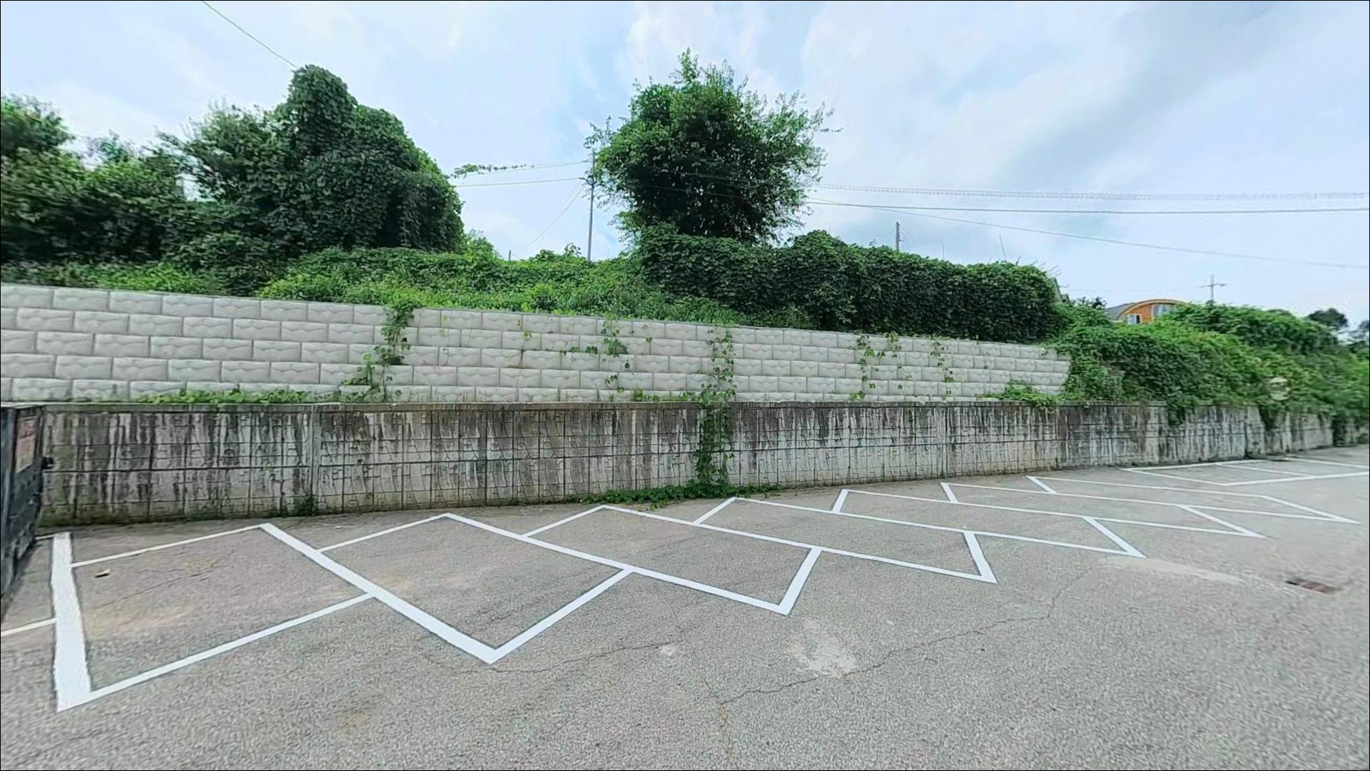 덕진진주차장 주변 모습 8