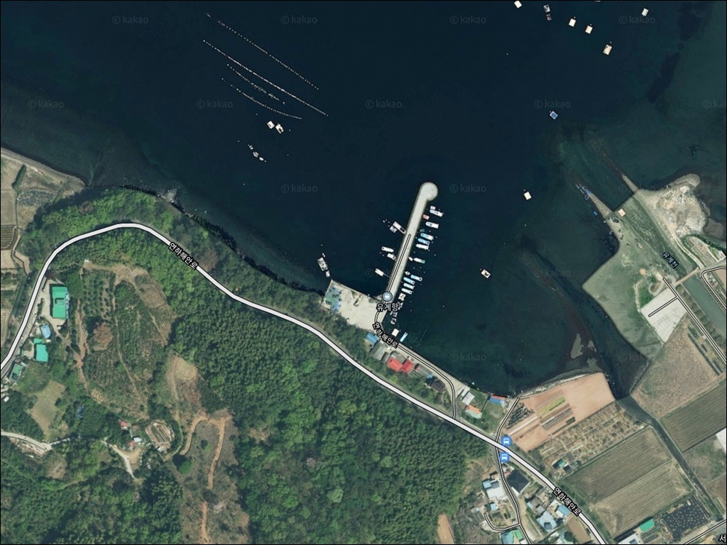 유계항 주변 모습 1