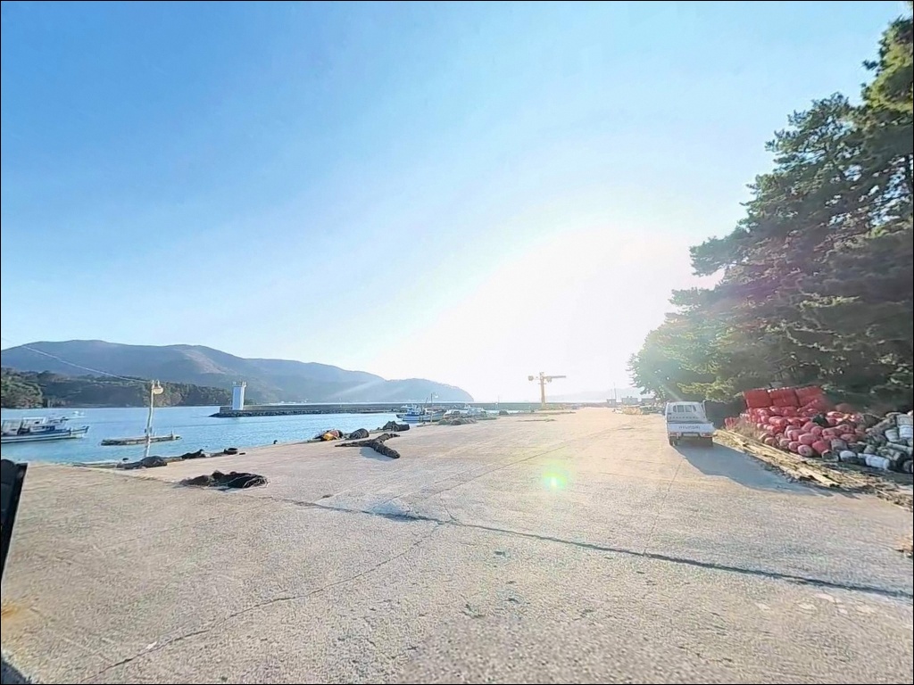 율포항 주변 모습 6